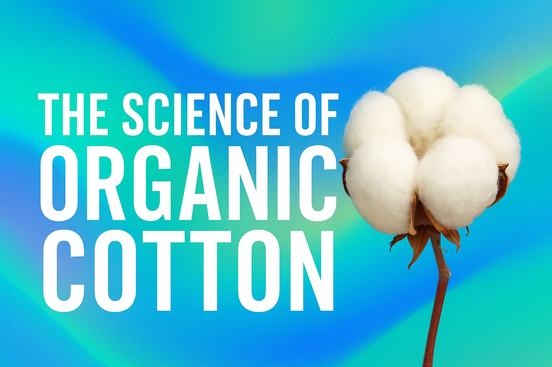 The Science of Organic Cotton: How Clean Fiber Becomes Conscious Fashion